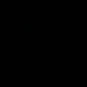 Meet your Posher, Dianna